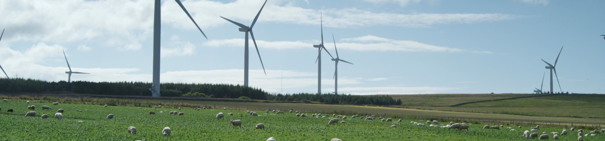 Windpark mit blauen Himmel