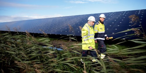 Zwei Mitarbeiter laufen im Solarpark Lange Runde herum. (Foto: Ole Martin würde)