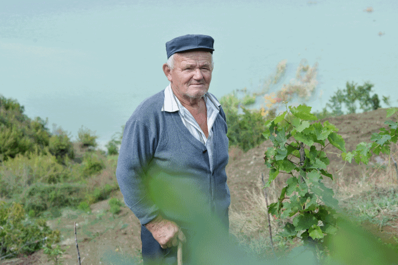 Landwirt auf dem Feld