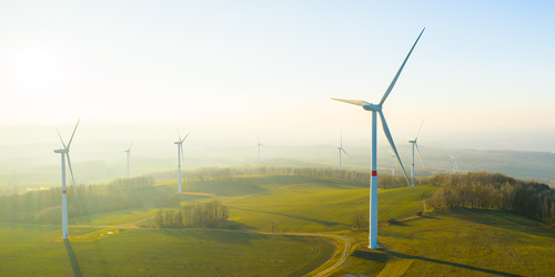 Windpark in Morgengrauen