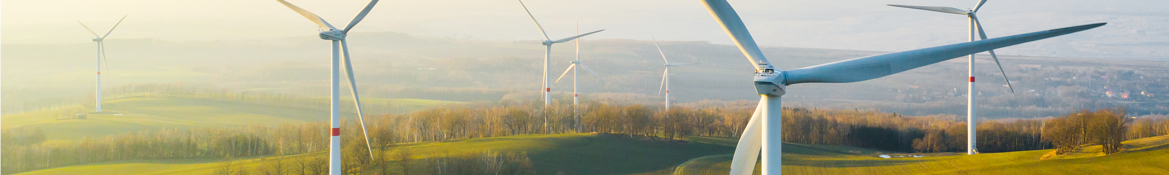 Windpark im Morgengrauen