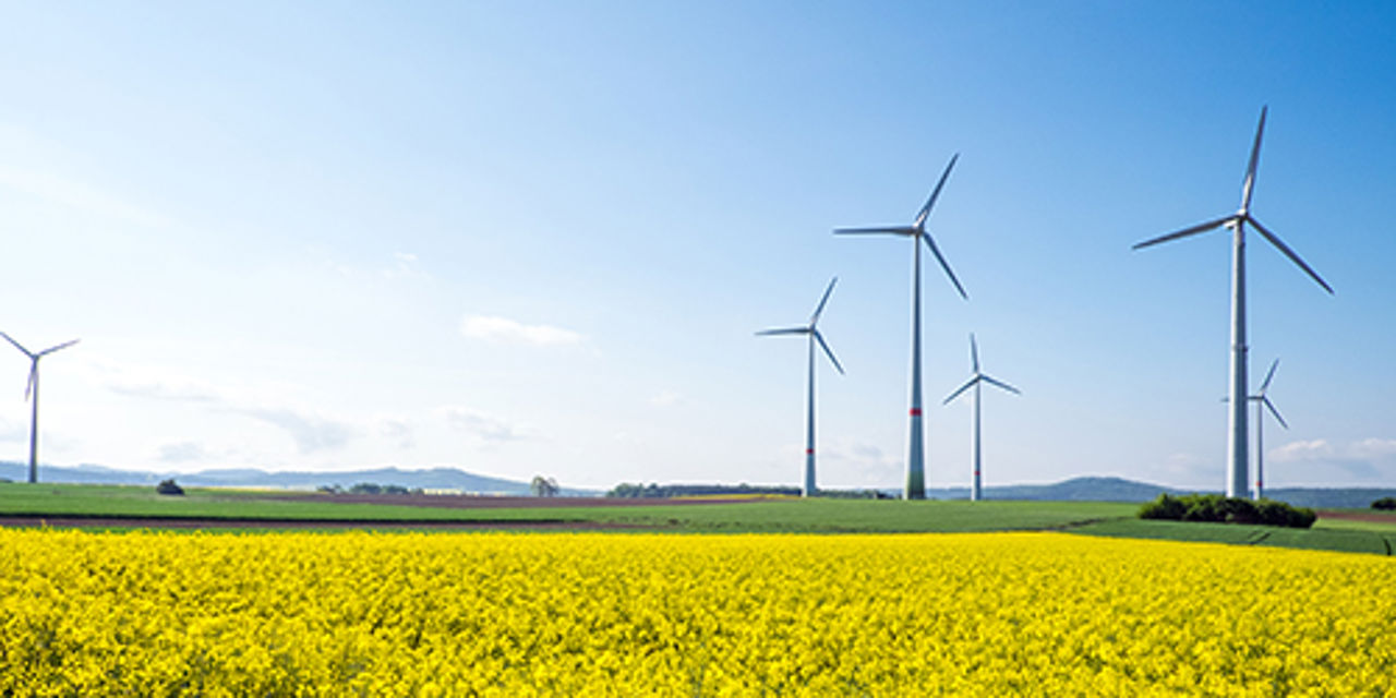 Windräder im Feld