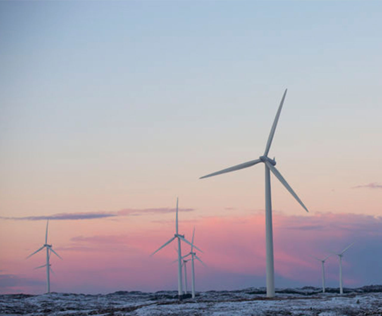 Windräder im Sonnenuntergang