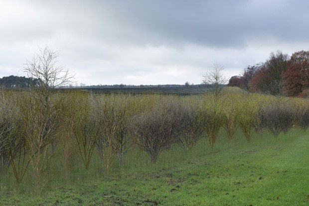 Visualisierung Banzendorf Winter