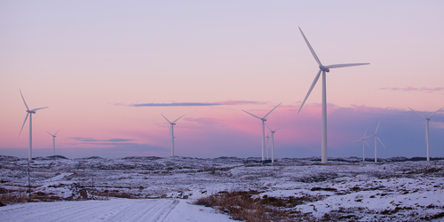 Windpark in pinken Sonnenaufgang