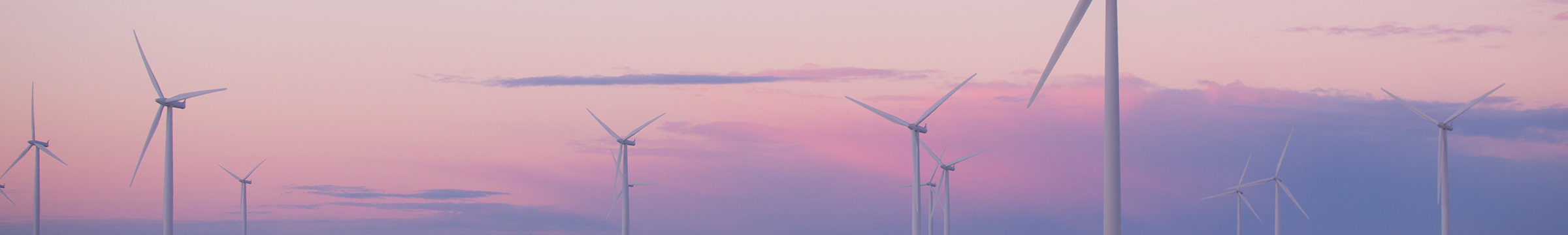 Windpark in pinken Sonnenaufgang