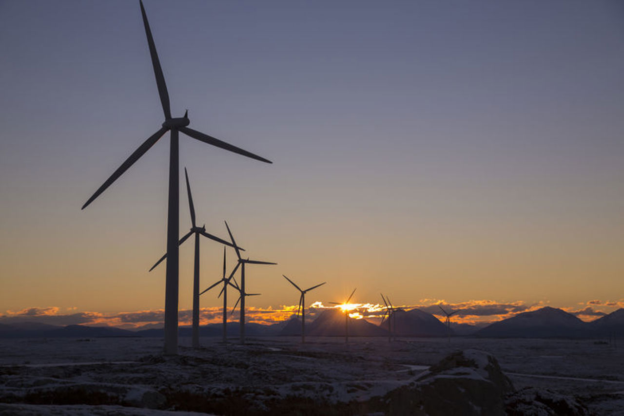 Windpark im Sonnenuntergang